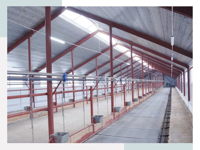 Строительство коровников в Новокуйбышевске от 615 руб.