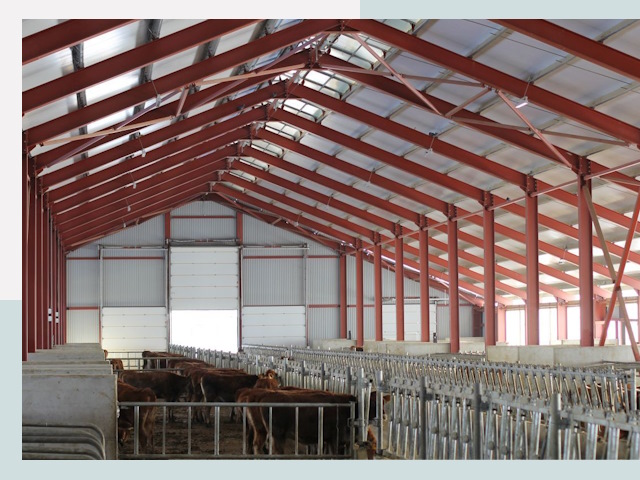 Строительство коровников в Новокуйбышевске