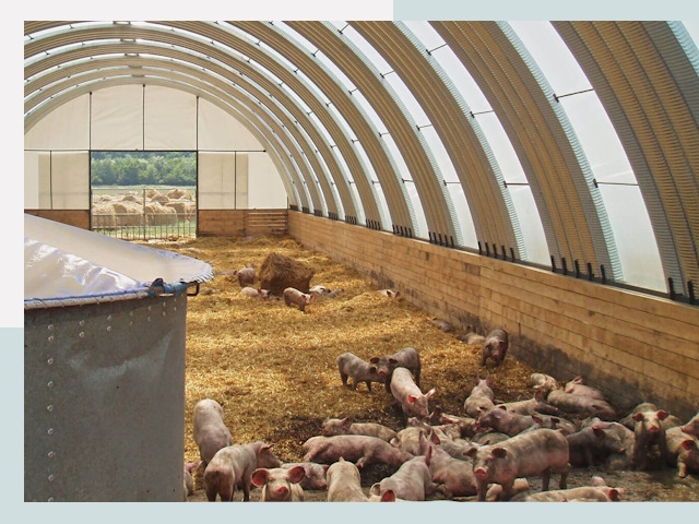 Строительство свинарников в Новокуйбышевске