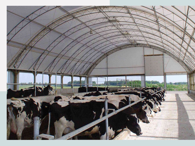 Тентовые коровники в Новокуйбышевске